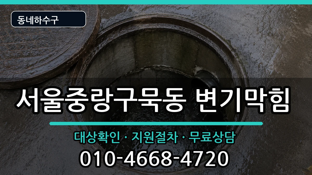 서울중랑구묵동 변기막힘 서울중랑구묵동 변기막힘 증상 처리 안내 이미지 3