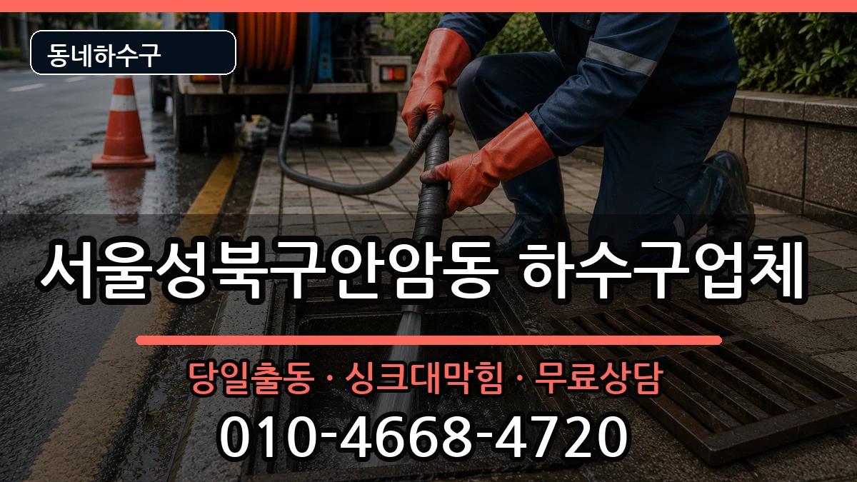 서울성북구안암동 하수구막힘 증상 처리 안내 이미지 2
