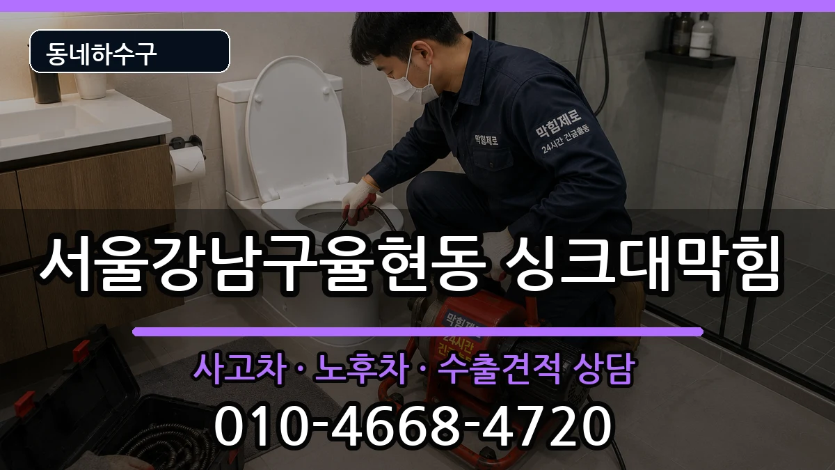 서울강남구율현동 싱크대막힘 증상 처리 안내 이미지 1