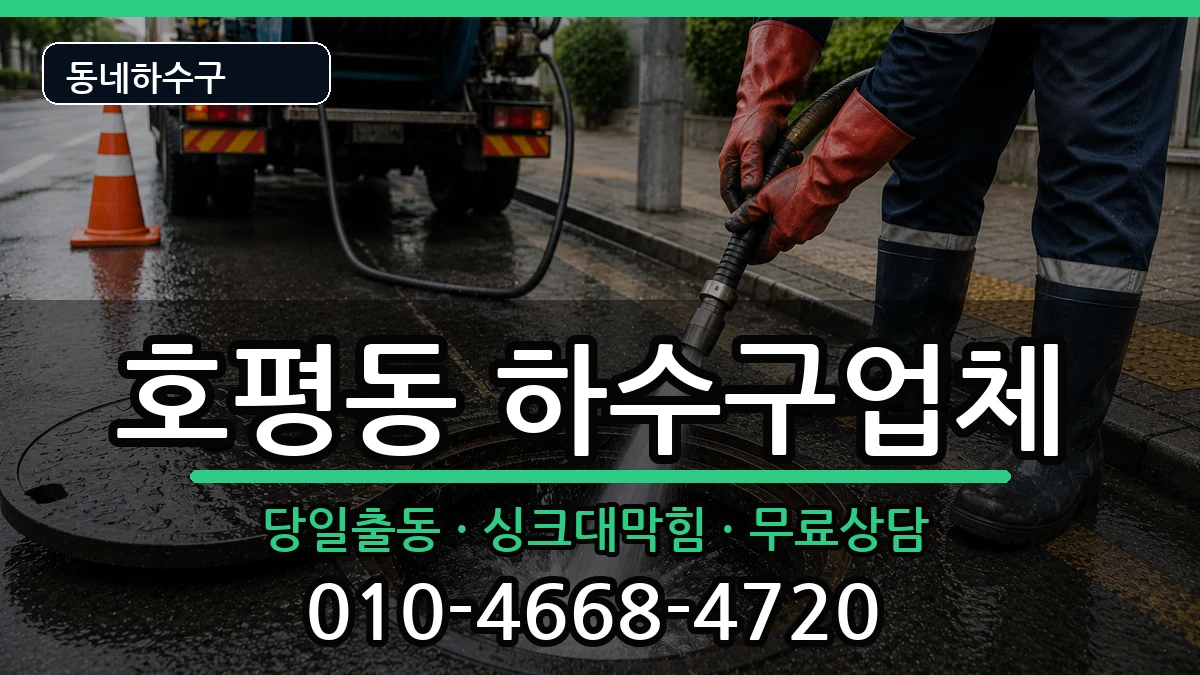 경기남양주시호평동  하수구막힘 질문형