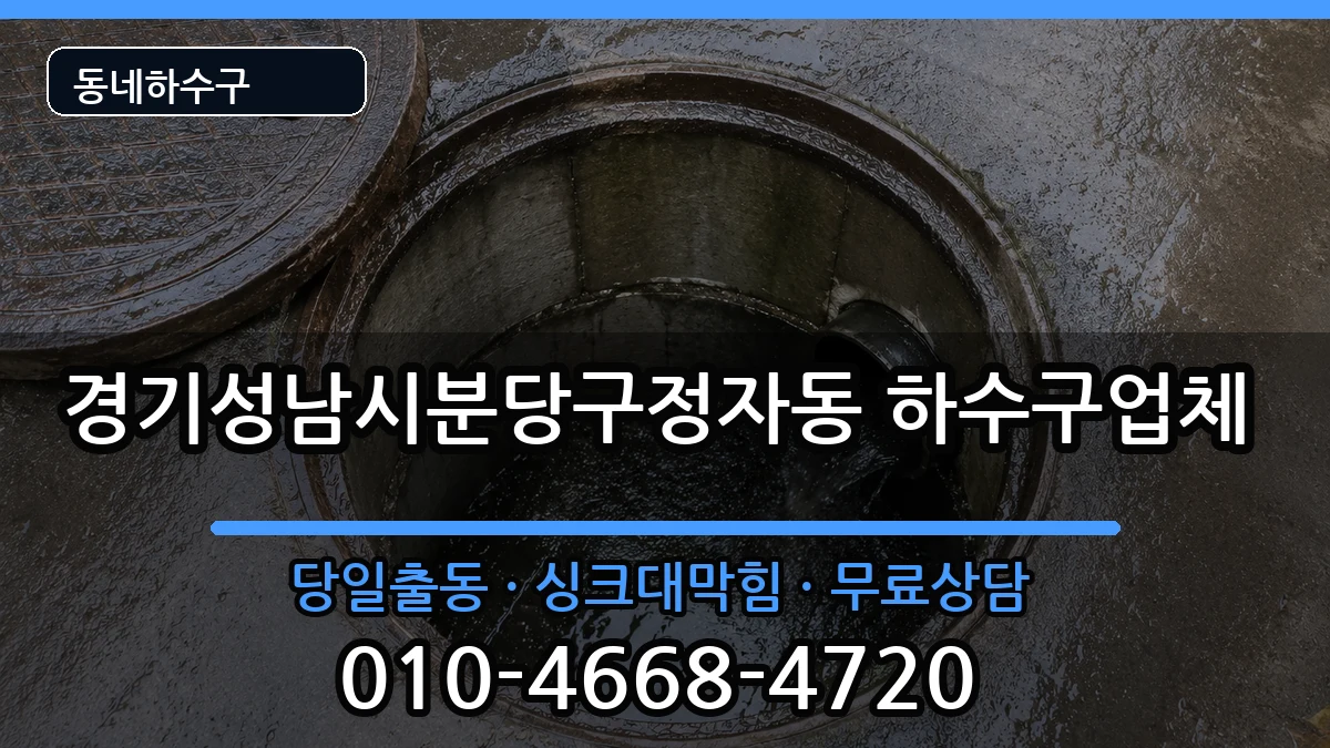 경기성남시분당구정자동 하수구막힘 경기성남시분당구정자동 하수구막힘 증상 처리 안내 이미지 2