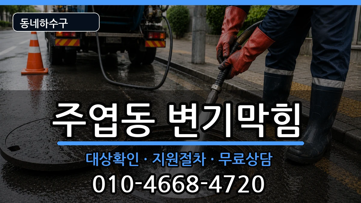 경기고양시일산서구주엽동  변기막힘 질문형