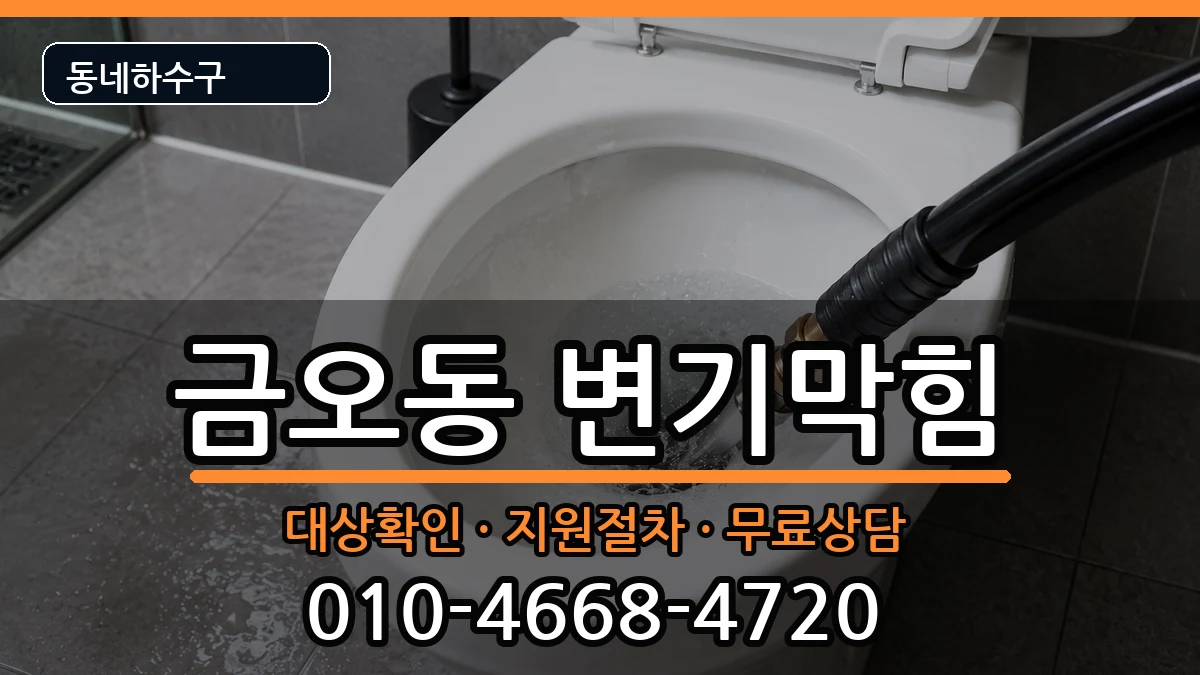 경기의정부시금오동 변기막힘 경기의정부시금오동 변기막힘 증상 처리 안내 이미지 2