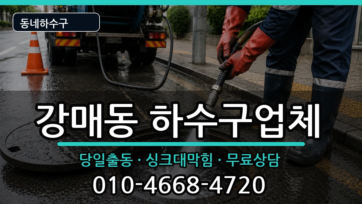 경기고양시덕양구강매동 하수구막힘 증상 처리 안내 이미지 1