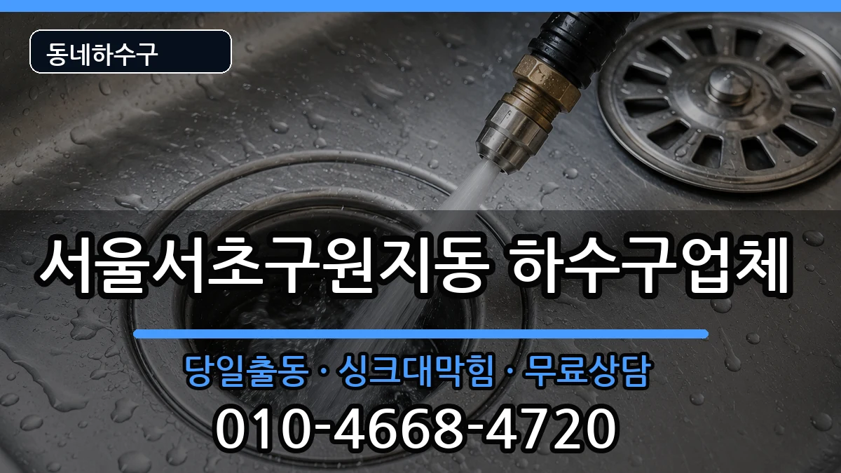 서울서초구원지동 하수구막힘 서울서초구원지동 하수구막힘 증상 처리 안내 이미지 1