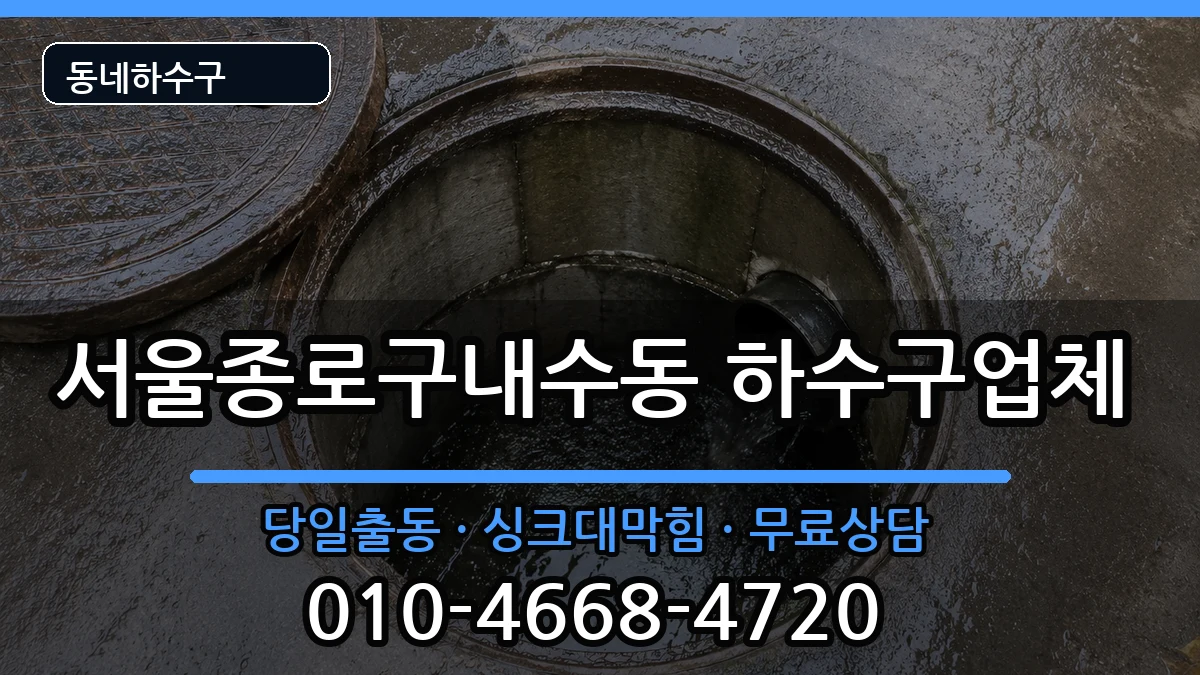 서울종로구내수동 하수구막힘 서울종로구내수동 하수구막힘 증상 처리 안내 이미지 1