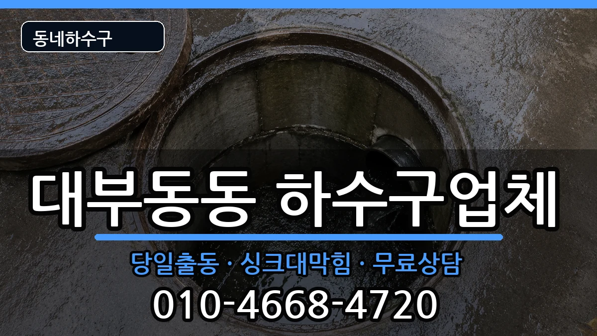 경기안산시단원구대부동동 하수구막힘 경기안산시단원구대부동동 하수구막힘 증상 처리 안내 이미지 1