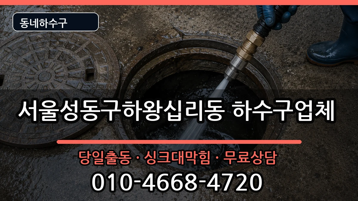 서울성동구하왕십리동 하수구막힘 서울성동구하왕십리동 하수구막힘 증상 처리 안내 이미지 2