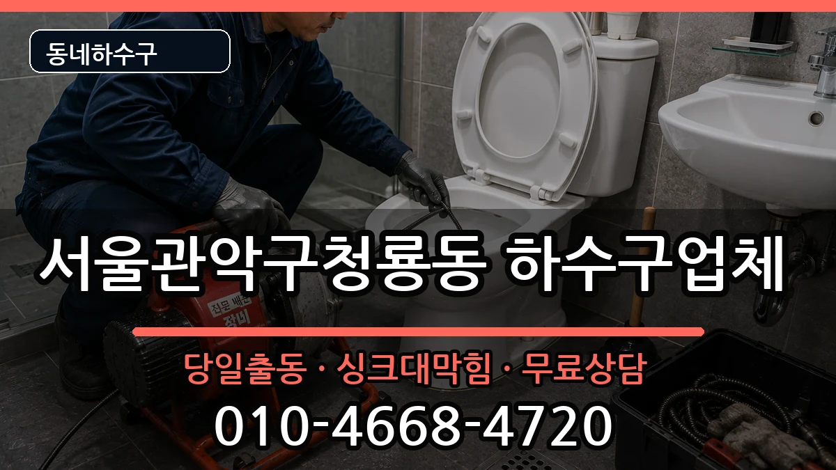 서울관악구청룡동 하수구막힘 증상 처리 안내 이미지 3
