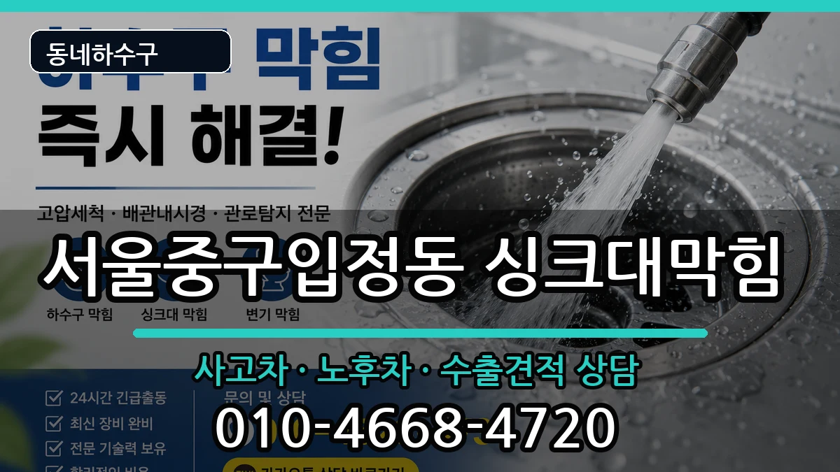 서울중구입정동 싱크대막힘 서울중구입정동 싱크대막힘 증상 처리 안내 이미지 2