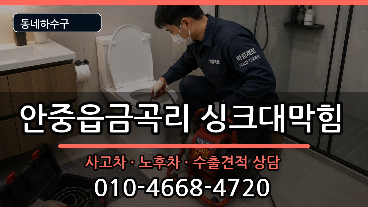 경기평택시안중읍금곡리 싱크대막힘 경기평택시안중읍금곡리 싱크대막힘 증상 처리 안내 이미지 2
