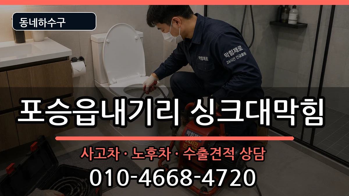 경기평택시포승읍내기리  싱크대막힘 사례형