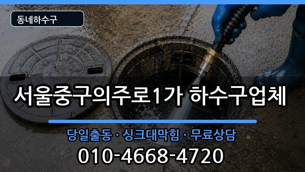 서울중구의주로1가 하수구막힘 서울중구의주로1가 하수구막힘 증상 처리 안내 이미지 2