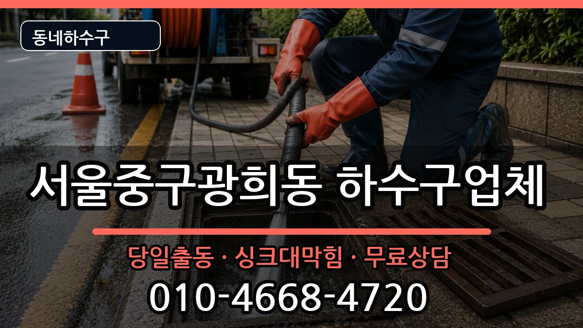 서울중구광희동 하수구막힘 서울중구광희동 하수구막힘 증상 처리 안내 이미지 2
