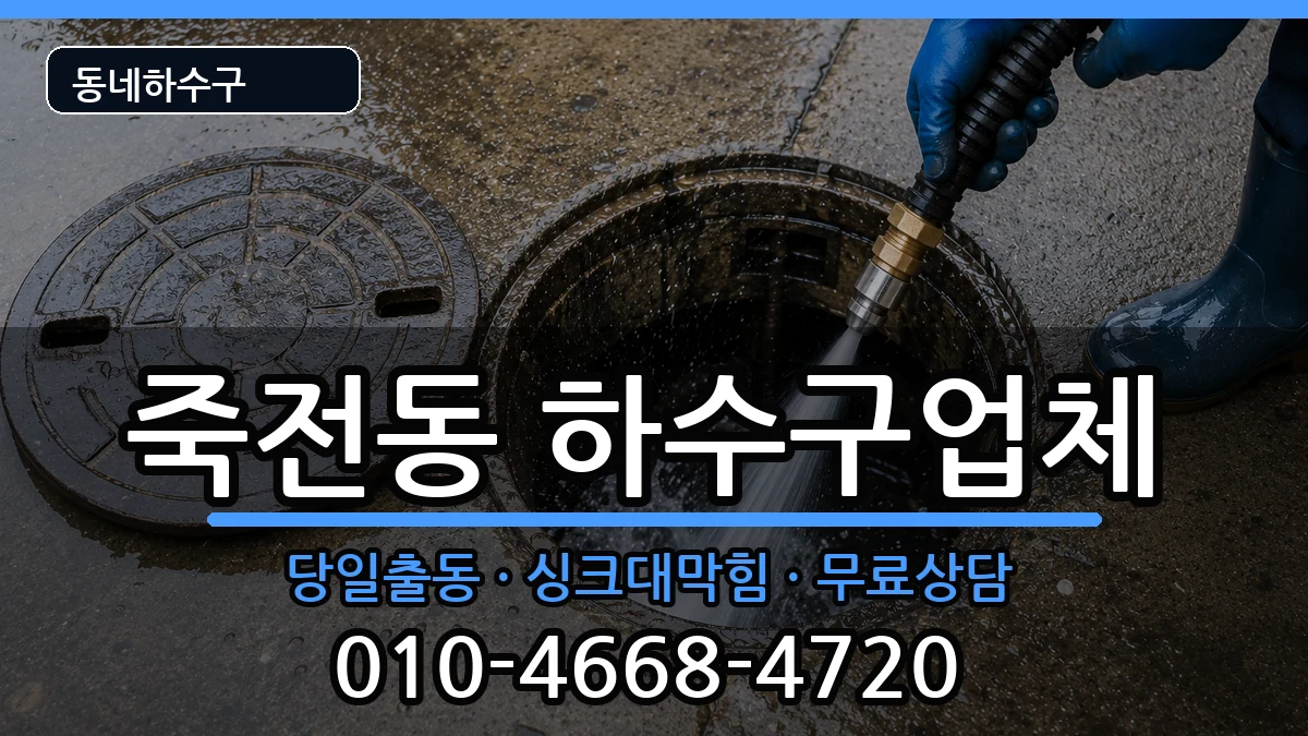 경기용인시수지구죽전동 하수구막힘 경기용인시수지구죽전동 하수구막힘 증상 처리 안내 이미지 3