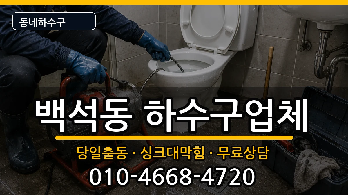 경기고양시일산동구백석동  하수구막힘 비교형