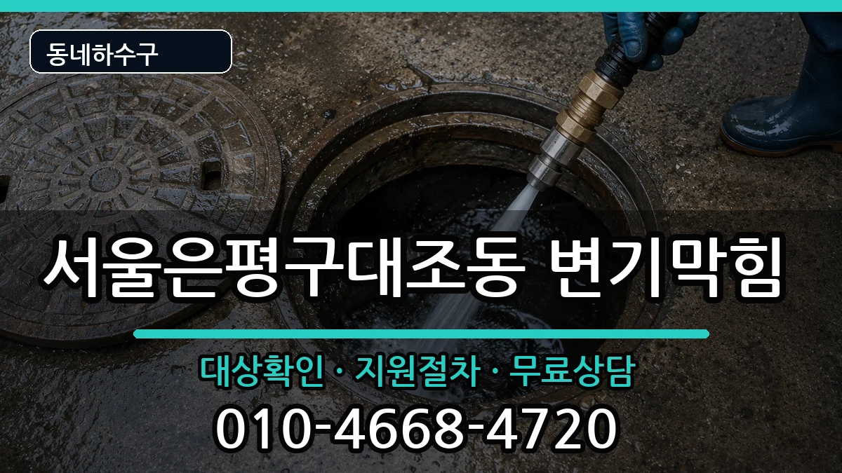 서울은평구대조동 변기막힘 서울은평구대조동 변기막힘 증상 처리 안내 이미지 2