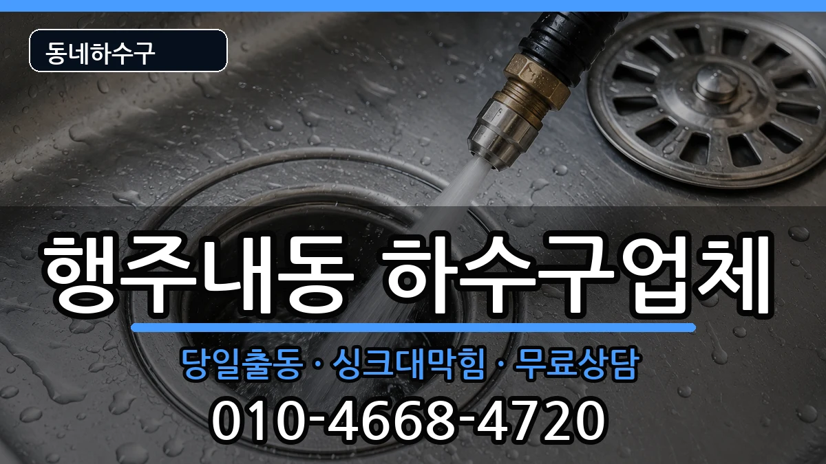 경기고양시덕양구행주내동  하수구막힘 비용형