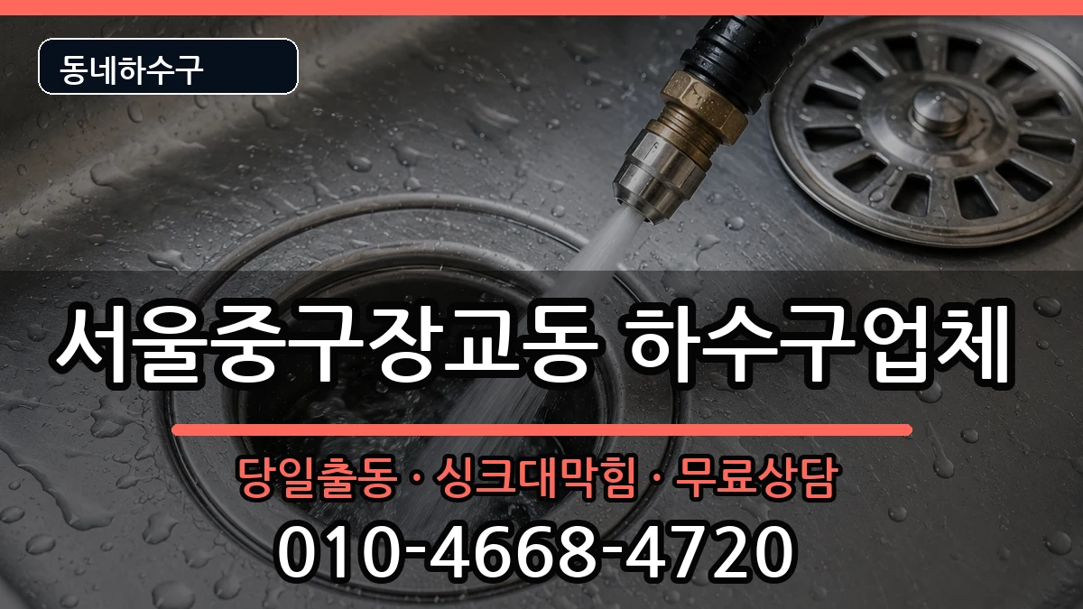 서울중구장교동 하수구막힘 증상 처리 안내 이미지 1