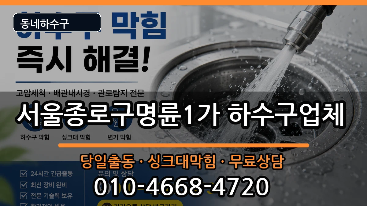 서울종로구명륜1가 하수구막힘 서울종로구명륜1가 하수구막힘 증상 처리 안내 이미지 1