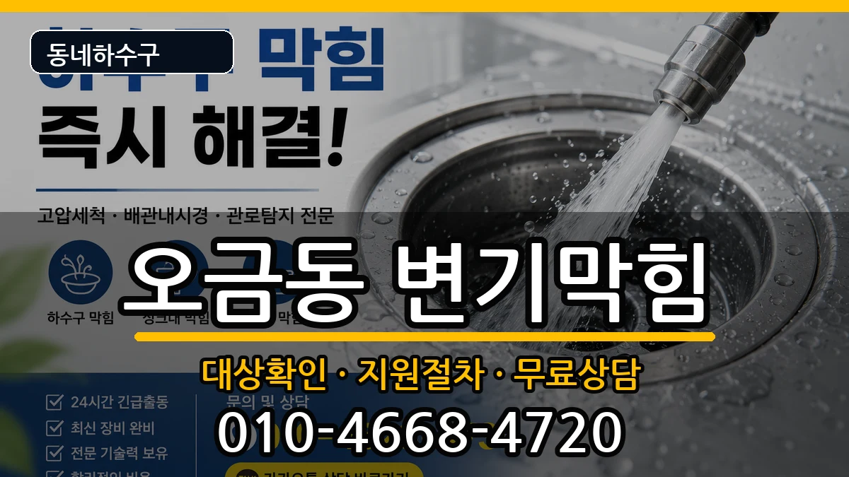 경기고양시덕양구오금동 변기막힘 증상 처리 안내 이미지 2