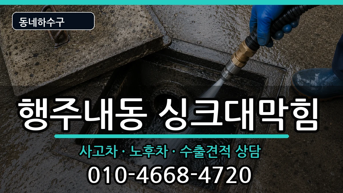 경기고양시덕양구행주내동 싱크대막힘 증상 처리 안내 이미지 1