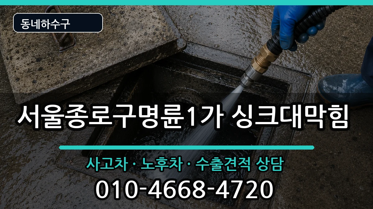 서울종로구명륜1가 싱크대막힘 서울종로구명륜1가 싱크대막힘 증상 처리 안내 이미지 2
