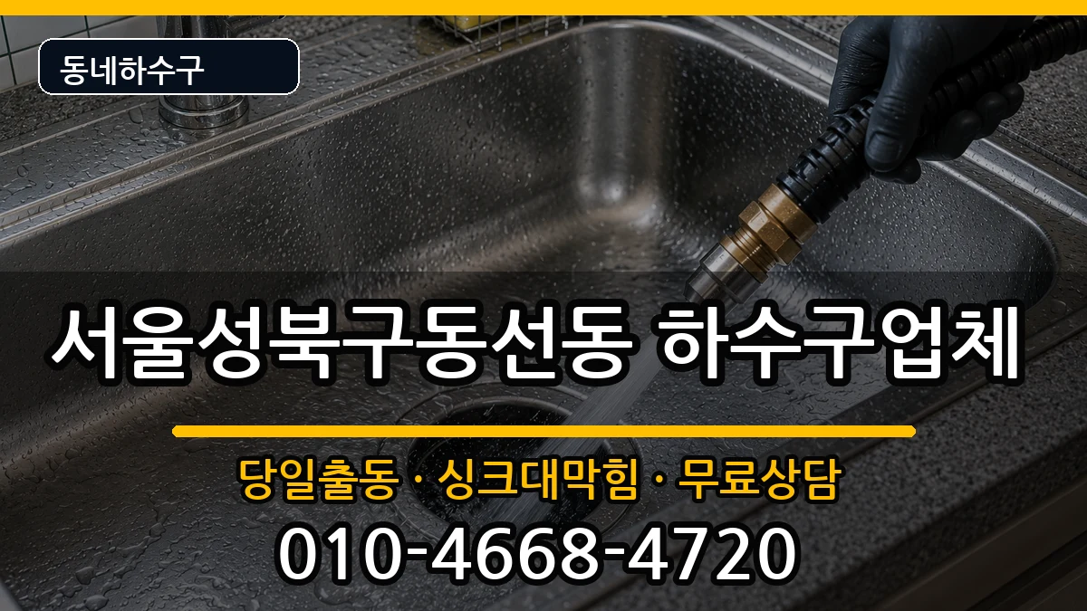 서울성북구동선동 하수구막힘 서울성북구동선동 하수구막힘 증상 처리 안내 이미지 2