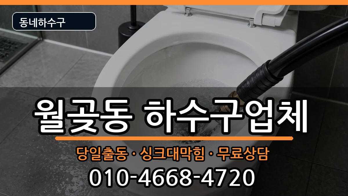 경기시흥시월곶동 하수구막힘 경기시흥시월곶동 하수구막힘 증상 처리 안내 이미지 2