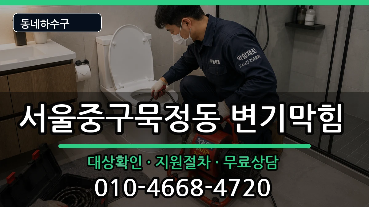 서울중구묵정동 변기막힘 서울중구묵정동 변기막힘 증상 처리 안내 이미지 2