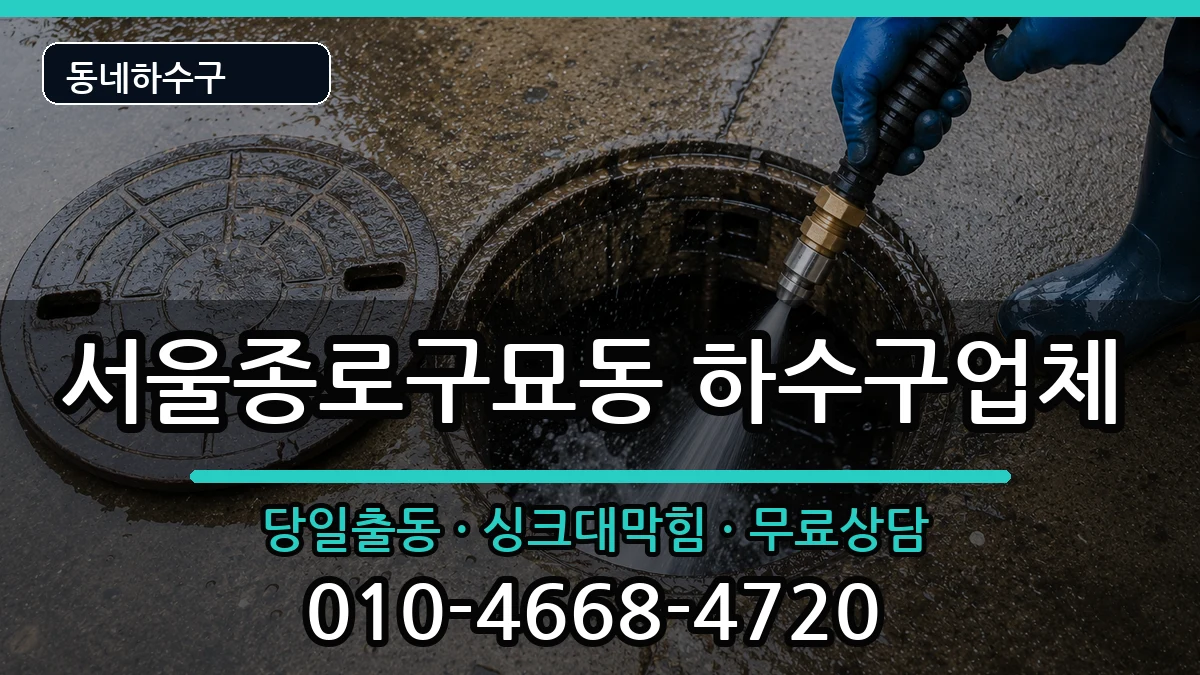 서울종로구묘동 하수구막힘 서울종로구묘동 하수구막힘 증상 처리 안내 이미지 2