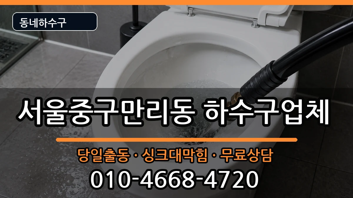 서울중구만리동 하수구막힘 서울중구만리동 하수구막힘 증상 처리 안내 이미지 3