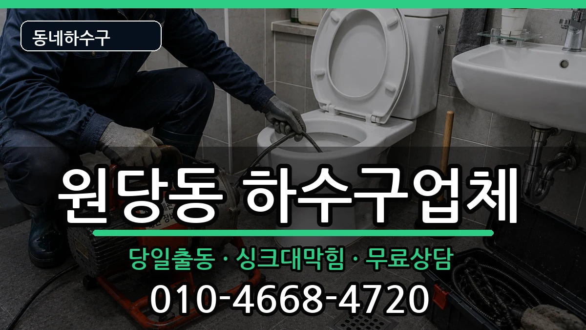 경기고양시덕양구원당동  하수구막힘 비교형