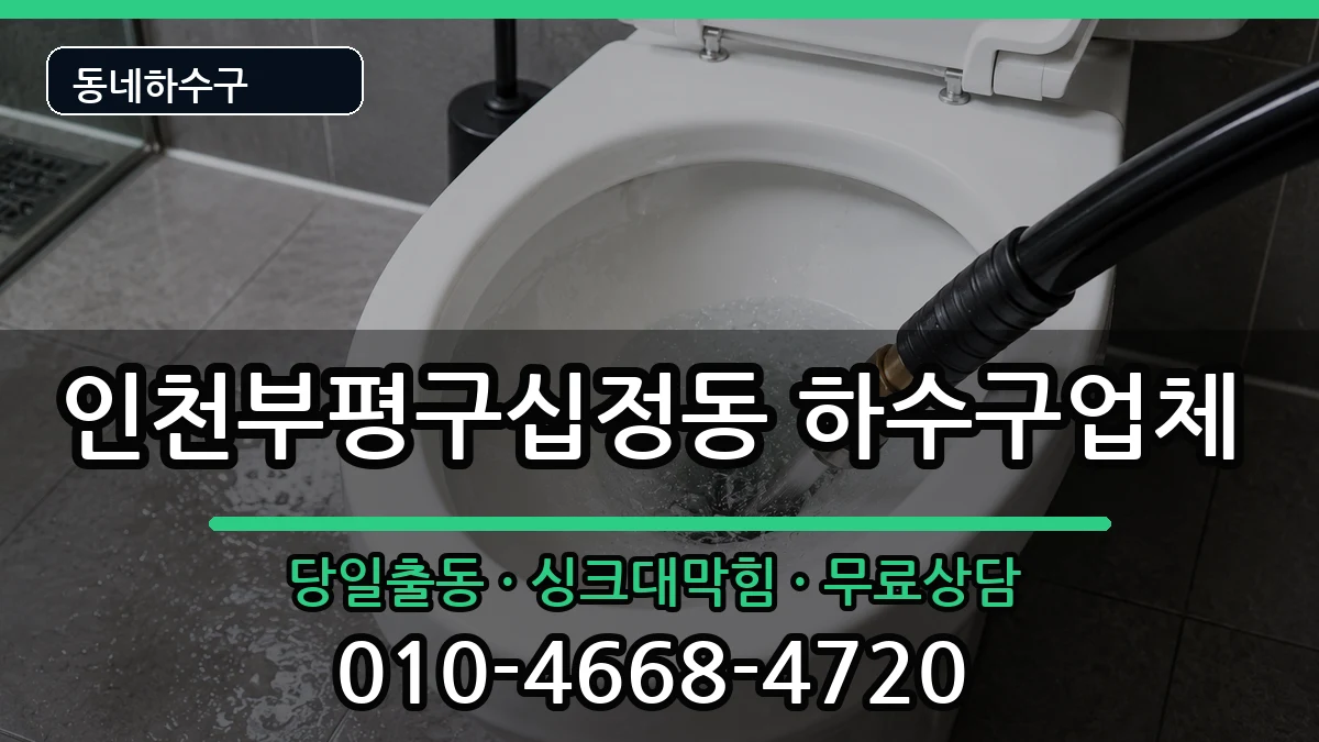 인천부평구십정동 하수구막힘 증상 처리 안내 이미지 1