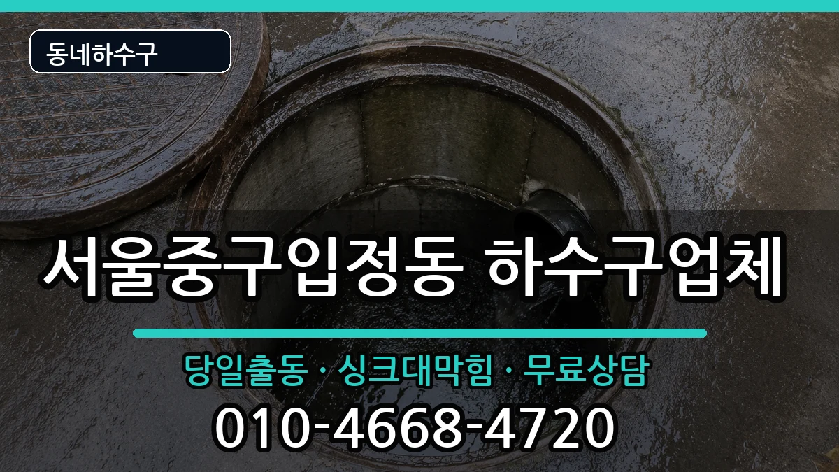 서울중구입정동  하수구막힘 FAQ형