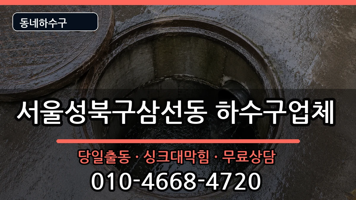 서울성북구삼선동 하수구막힘 증상 처리 안내 이미지 1