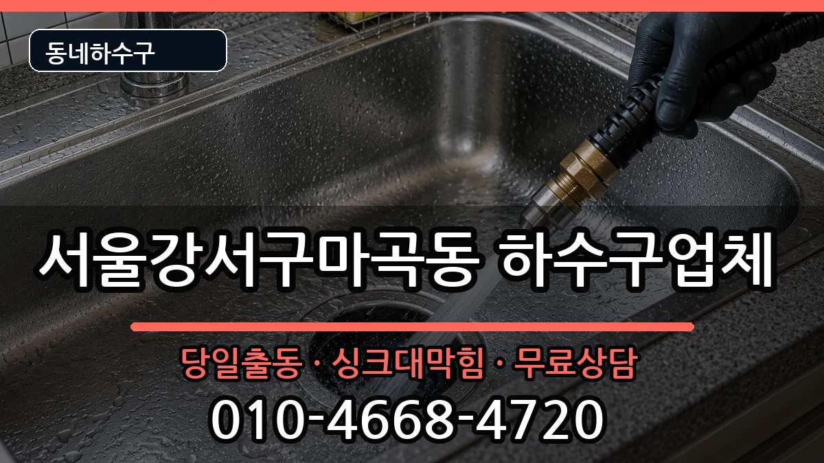 서울강서구마곡동 하수구막힘 서울강서구마곡동 하수구막힘 증상 처리 안내 이미지 3