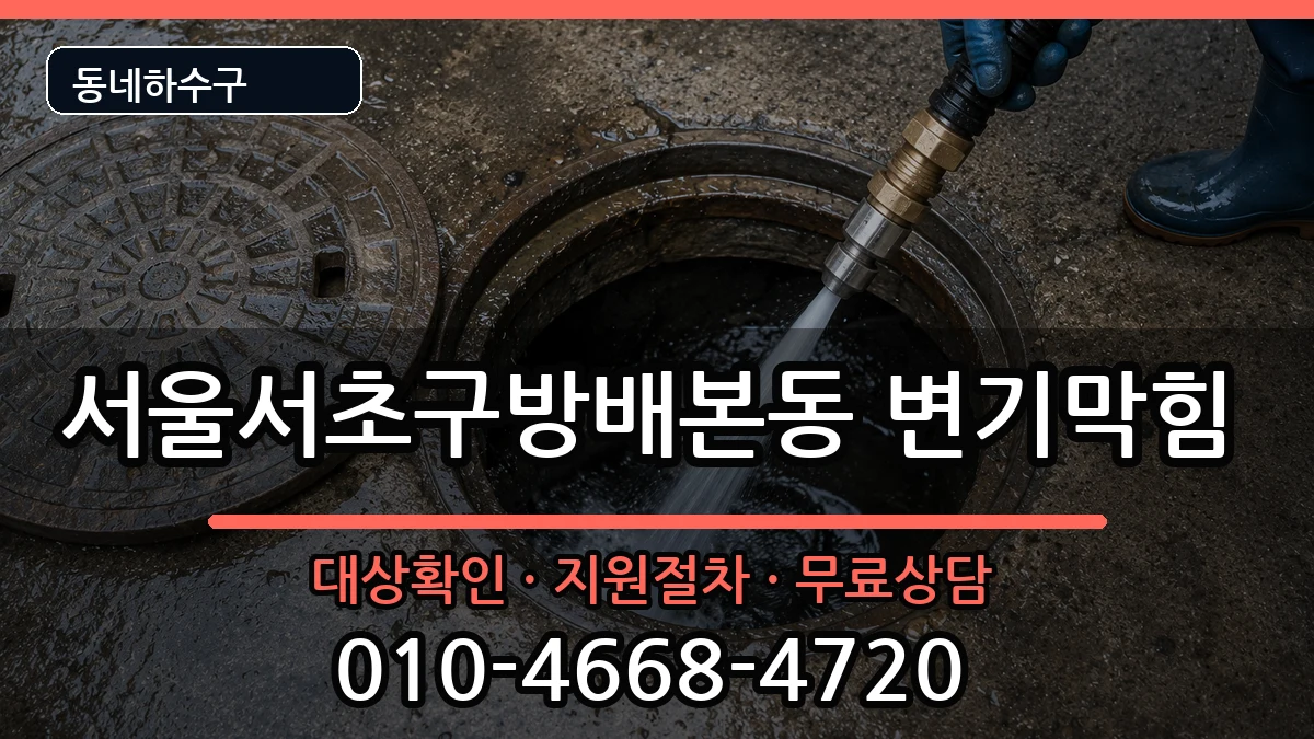 서울서초구방배본동 변기막힘 서울서초구방배본동 변기막힘 증상 처리 안내 이미지 2