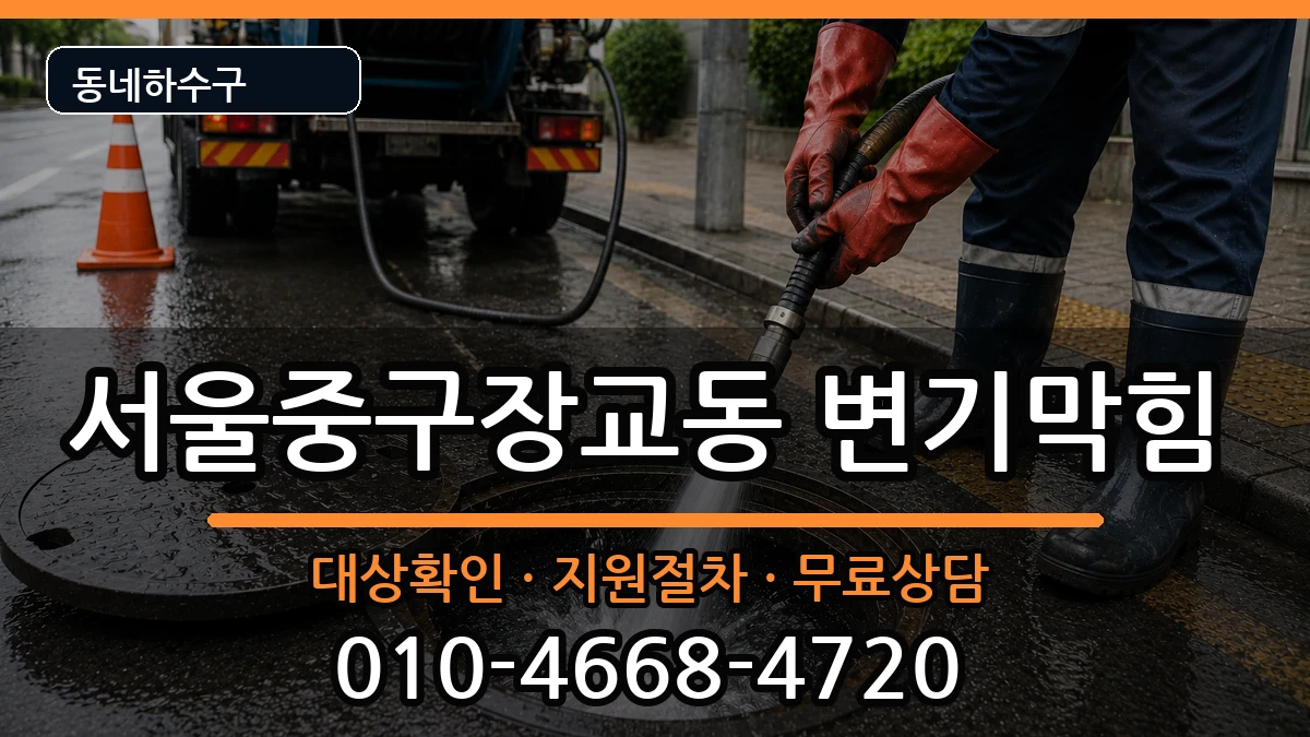 서울중구장교동 변기막힘 증상 처리 안내 이미지 1