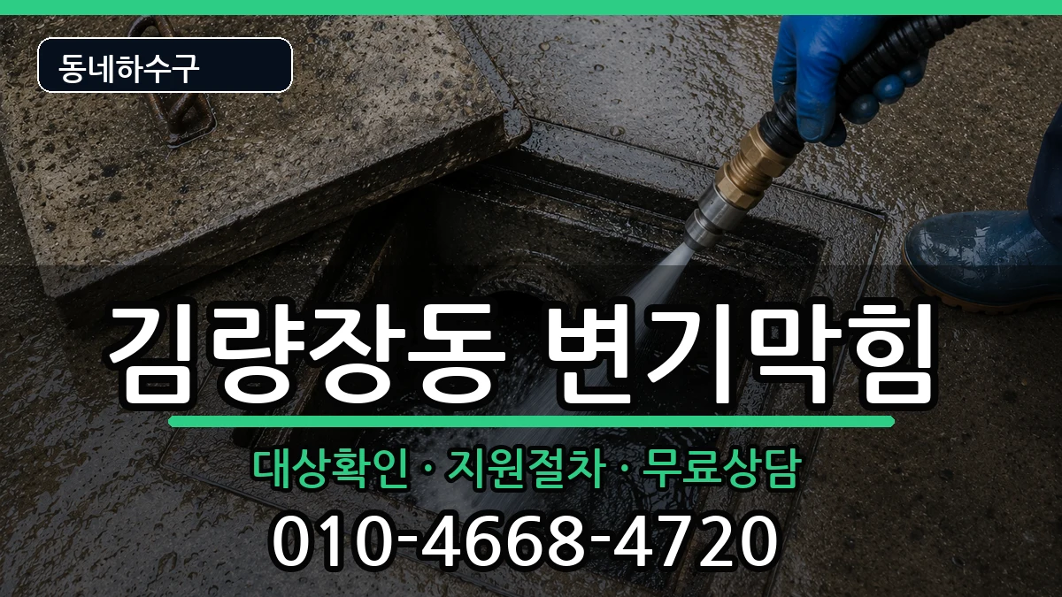 경기용인시처인구김량장동 변기막힘 경기용인시처인구김량장동 변기막힘 증상 처리 안내 이미지 1