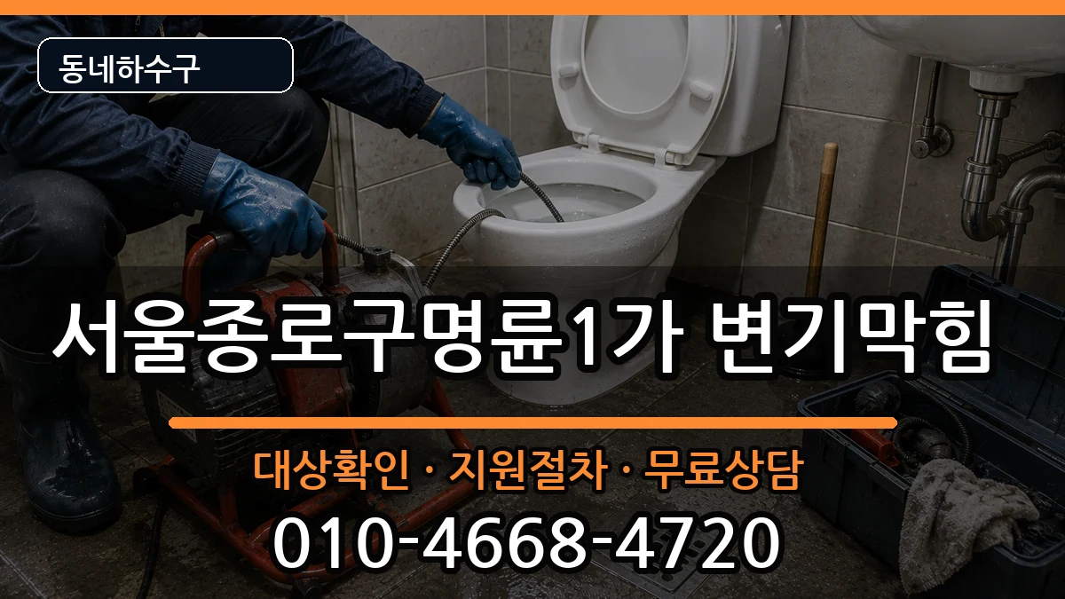서울종로구명륜1가 변기막힘 서울종로구명륜1가 변기막힘 증상 처리 안내 이미지 3