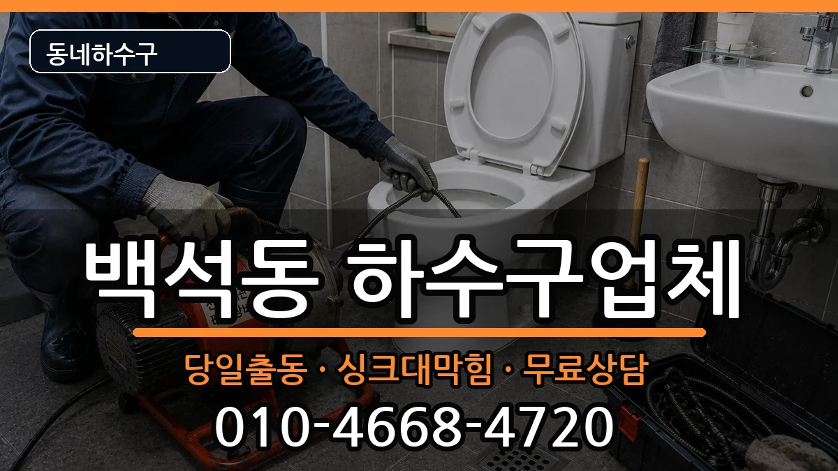 경기고양시일산동구백석동 하수구막힘 증상 처리 안내 이미지 3