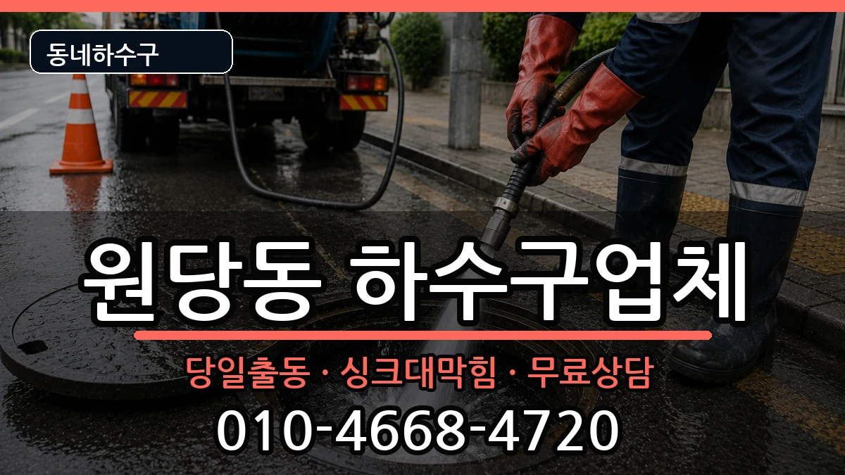 경기고양시덕양구원당동 하수구막힘 증상 처리 안내 이미지 2