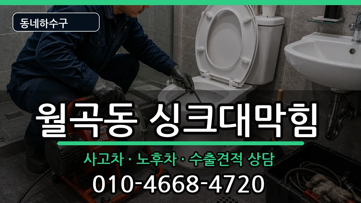 경기평택시월곡동  싱크대막힘 사례형