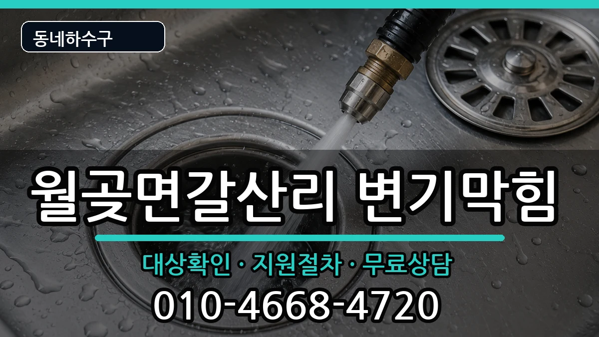 경기김포시월곶면갈산리 변기막힘 경기김포시월곶면갈산리 변기막힘 증상 처리 안내 이미지 2
