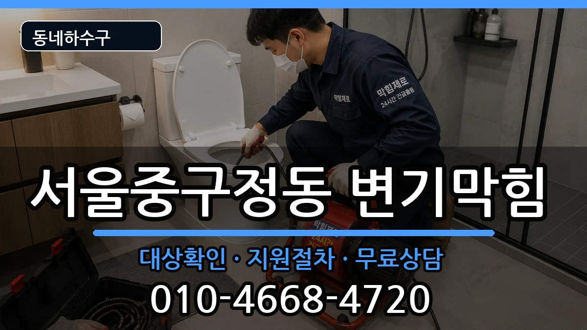 서울중구정동 변기막힘 서울중구정동 변기막힘 증상 처리 안내 이미지 1