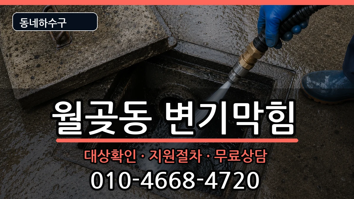 경기시흥시월곶동 변기막힘 경기시흥시월곶동 변기막힘 증상 처리 안내 이미지 3