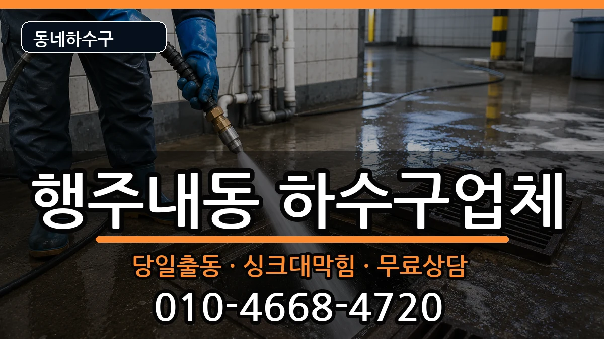 경기고양시덕양구행주내동 하수구막힘 증상 처리 안내 이미지 2