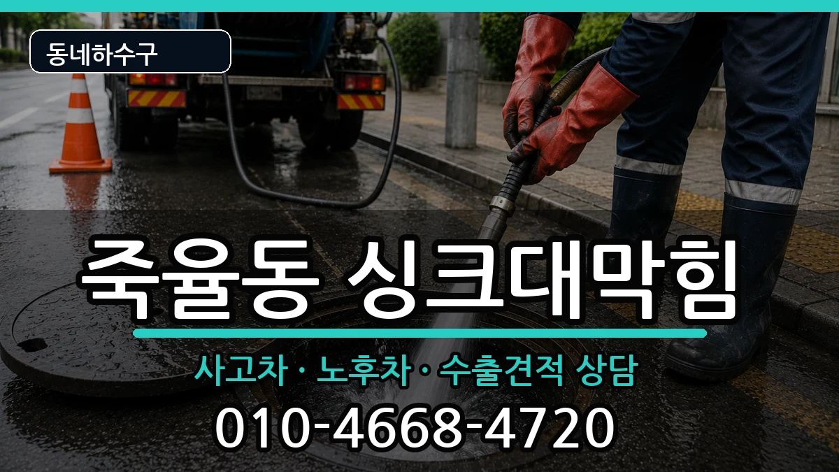 경기시흥시죽율동  싱크대막힘 질문형