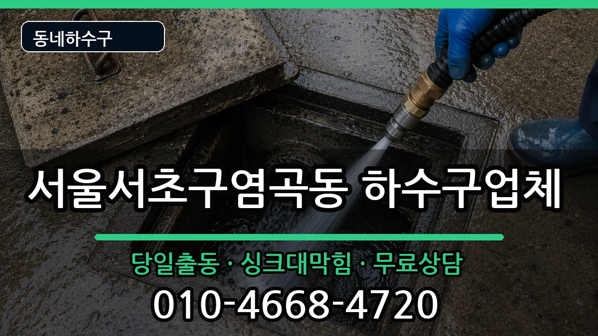 서울서초구염곡동 하수구막힘 서울서초구염곡동 하수구막힘 증상 처리 안내 이미지 1